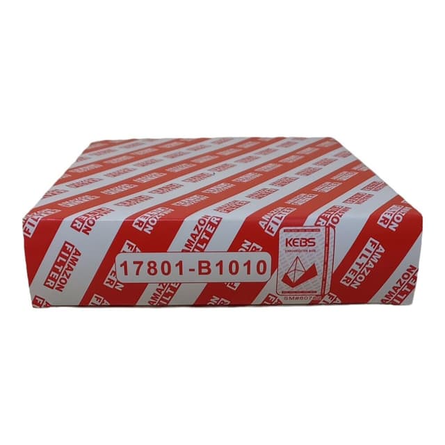 Air Cleaner B1010